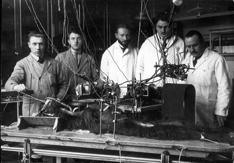 Professor Eugène De Somer (rechts), assistenten en medewerkers tijdens een wetenschappelijke proef met een dier in de eerste helft van de 20ste eeuw (Collectie Universiteitsarchief Gent).