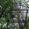 Op vijf platforms op 7, 14, 21, 28 en 35 meter hoogte van de meettoren in het Aelmoeseneiebos kunnen metingen worden gedaan. (foto ForNaLab UGent, foto Sanne Van Den Berge)