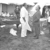 Forensisch geneeskundige Jacques Timperman (in witte schort) aan het werk na de vliegtuigcrash in Aarsele van 1971 waarbij alle 63 passagiers het leven lieten (© vakgroep Gerechtelijke Geneeskunde UGent).