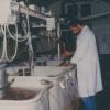 Kweekinstallaties voor Artemia-pekelkreeftjes in het labo voor Aquacultuur en Artemia Reference Center, in de kelders van de Rozier eind jaren 1980 (© Universiteitsarchief Gent, W09_01_003).
