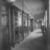 Vitrinekasten voor de wetenschappelijke collecties in de gangen van het Plateaugebouw (Collectie Universiteitsarchief Gent - fotogravure La Meuse).