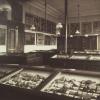 Museum voor Mineralogie en Geologie, ten tijde van Alphonse Renard (Collectie Universiteitsarchief Gent - foto Charles D&#039;Hoy).